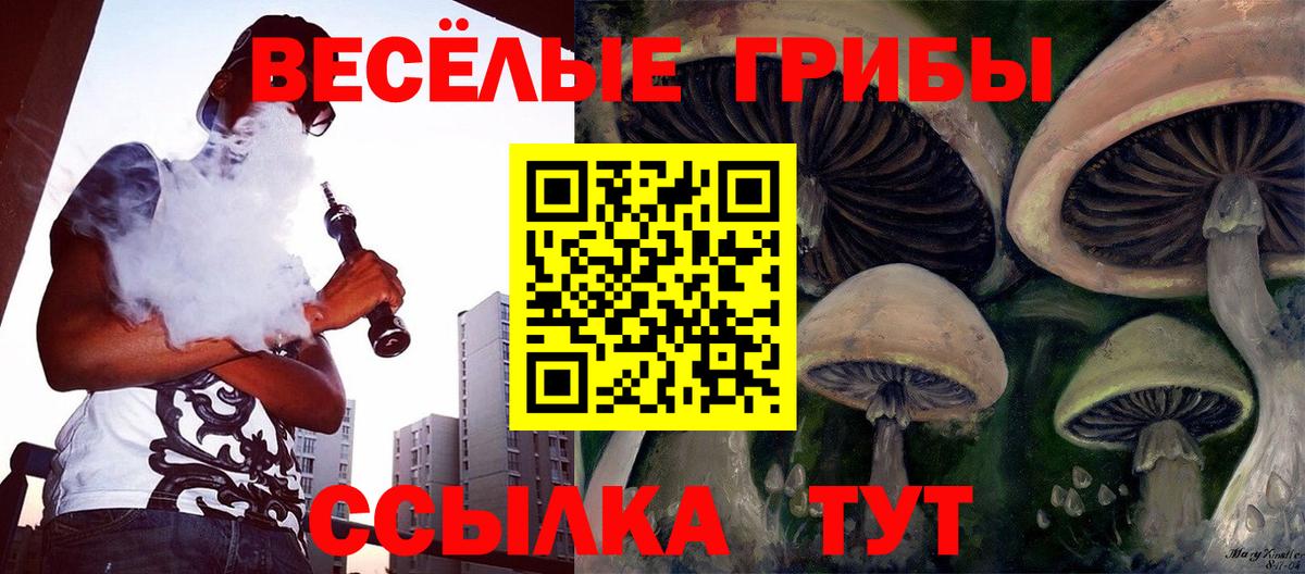 Псилоцибиновые грибы прущие грибы Раменское